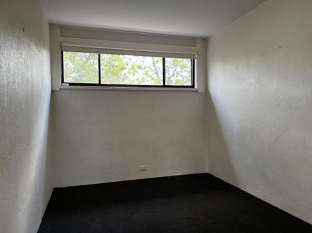 Charming Two Bedroom Unit in Farrer - Photo 4