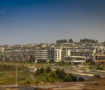 North Facing Executive 2 Bedroom Apartment - Photo 6