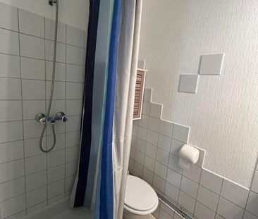 Location Appartement 1 pièce Meublé 15m² AIRE SUR L ADOUR 40800 - Photo 4