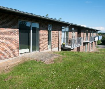 Petersborg, 6200, Aabenraa - Photo 3