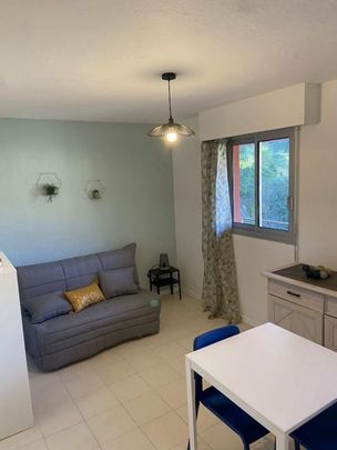 Location Appartement 1 pièce Meublé 22m² VILLENEUVE LOUBET 06270 - Photo 1