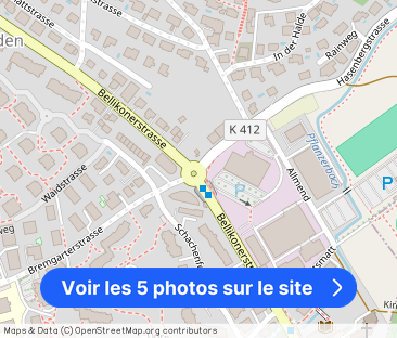 MIT GALERIE, CHEMINÉE UND SONNIGEM BALKON! - Photo 1