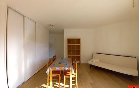 1 pièce, 20m² en location à Toulouse - 440.28 € par mois - Photo 5