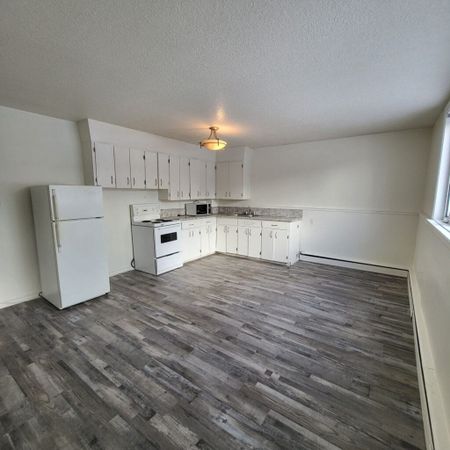 1424 College Avenue, Regina - Photo 4