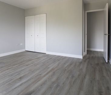 1225 Saint Marc Street, Montréal, QC - Photo 4