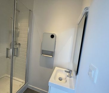 Location Appartement 1 pièce 18m² LILLE 59000 - Photo 3