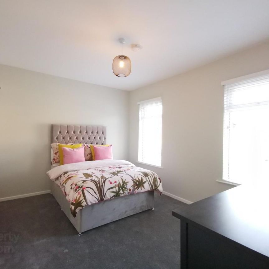 Rm 3, 93 Bloomfield Avenue, BT5, Belfast - Photo 1