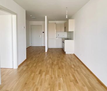 Moderne 2-Zimmer Gartenwohnung in Krems - Ruheoase - Photo 1