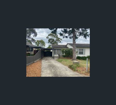 66 Loretto Avenue, Ferntree Gully, Vic 3156 - Photo 4
