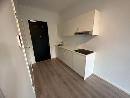 Te huur: Studio Flintstraat in Emmen - Foto 2