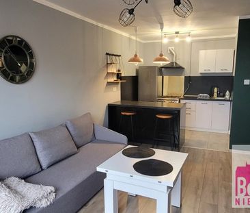 Włocławek, Południe Mieszkanie na wynajem - Zdjęcie 4