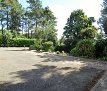 The Pines, Buxton Road West, Disley, Stockport, SK12 - Photo 4