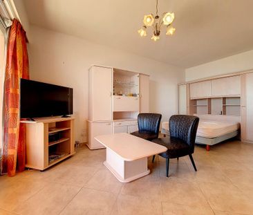 Location Appartement 1 pièce Meublé 31m² AJACCIO 20000 - Photo 1