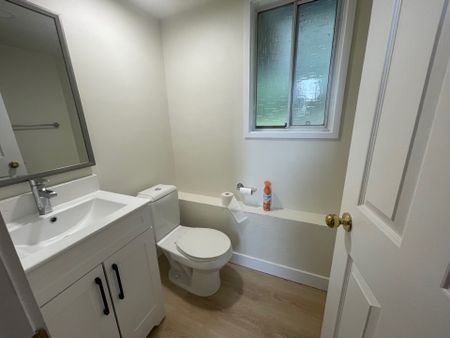 Beautifully Renovated Two-Level Home - Photo 3
