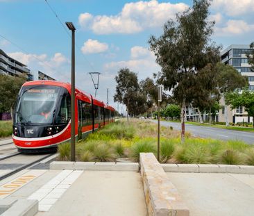 203/259 Northbourne Avenue, Lyneham ACT 2602 - Apartment For Rent |... - Photo 4