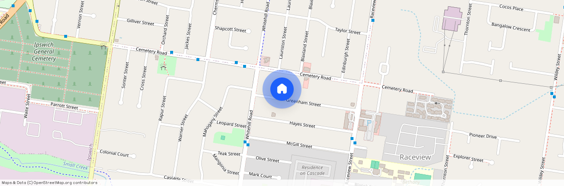 29 Greenham Street, Raceview, QLD