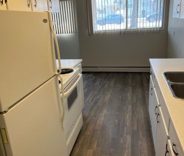 Spacious 2 Bedroom 1 Bath Apartment in the heart of Red Deer!! - Photo 4