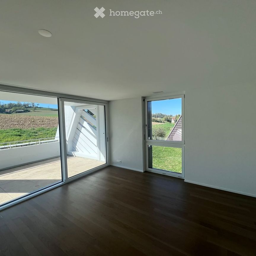 Moderne 4.5-Zimmerwohnung mit Weitsicht und grosser Terrasse - Foto 1