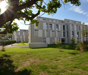 Modern. Zentral. Zuhause. - Photo 4