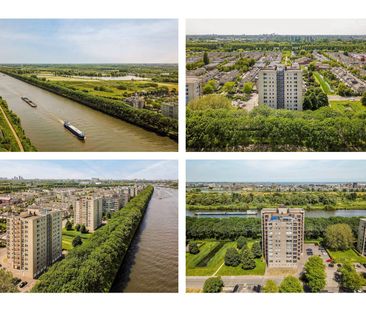 Hermelijnvlinder 95, Vlindertuin, 1113LC, Diemen - Photo 6