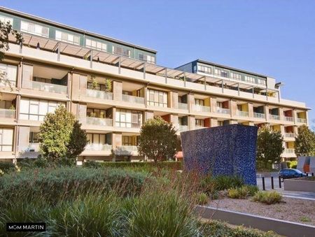 C36/240 Wyndham Street, Alexandria NSW 2015 - Apartment For Rent | Domain - Photo 4