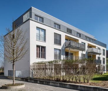 Attraktive Attika-Wohnung mit herrlicher Terrasse - Foto 4