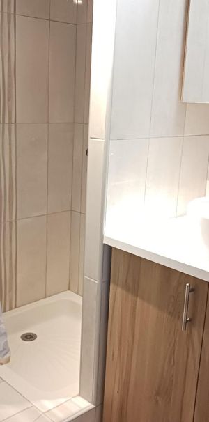 Location Appartement 1 pièce 18m² BLOIS 41000 - Photo 1