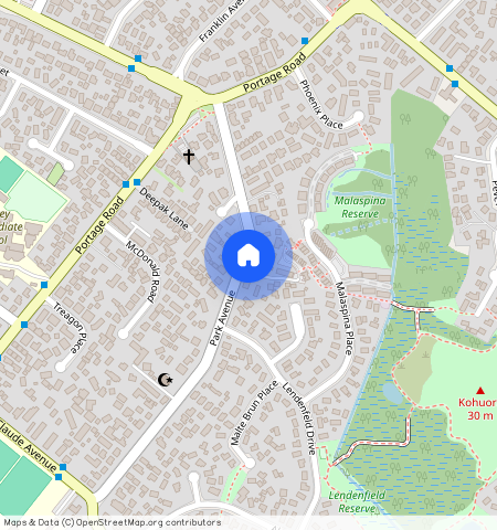 42 Park Avenue, Papatoetoe, Manukau City