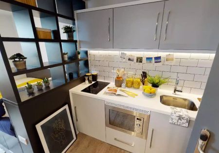 Platinum Penthouse Plus - Photo 4