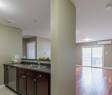 11 Harold Doherty Court - Photo 3