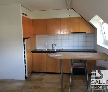 APPARTEMENT DE 2½ PIECES DUPLEX SUR RUE PIETONNE DU CENTRE VILLE - Foto 1