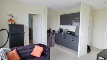 EXCLUSIVITÉ - Location appartement meublé 2 pièces 41 m² avec terrasse - Talence (33400) - Photo 3