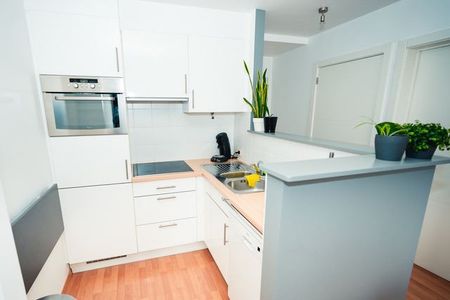 Super gezellig 1 slaapkamer appartement (60m²) met terras in hartje Antwerpen te huur! - Photo 5