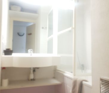 Location Appartement 1 pièce 20m² MULHOUSE 68100 - Photo 3