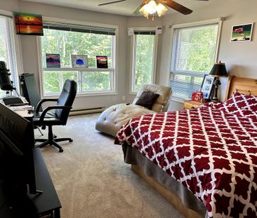 For Lease - 54 Mayfair Drive Unit# main+se, Barrie, Ontario - Photo 4
