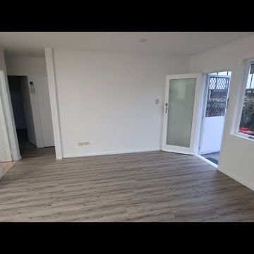 Newly Renovated Home - Walking Distance to Sylvia Park! - Photo 1
