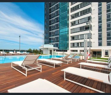 1709b/8 Adelaide Terrace, East Perth, WA 6004 - Photo 5