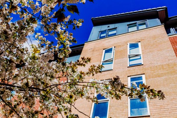 Standard Plus - Photo 1