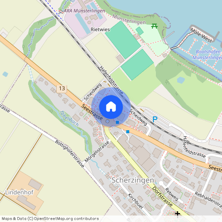 8596, Scherzingen, Scheidweg, 7