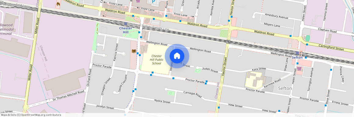 7 Veronica Street, 2162, Chester Hill Nsw