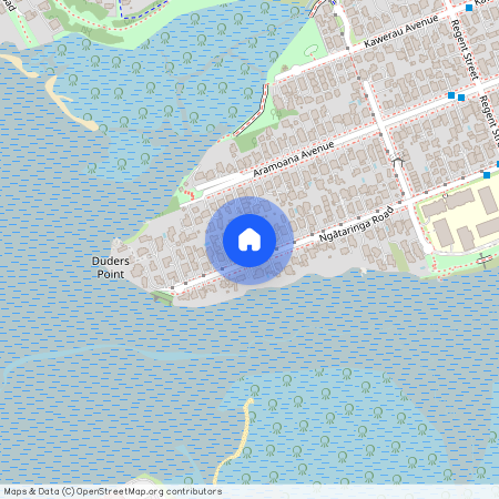 72 Ngataringa Road, Devonport, Auckland