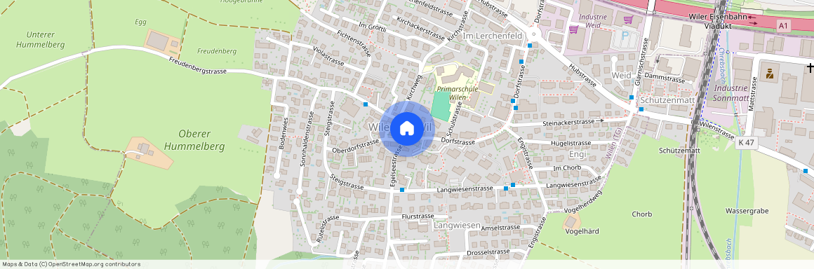 Vorderer Rebweg 1, 9535 Wilen TG