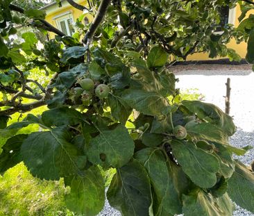 Hassleberga, Lund - Photo 2
