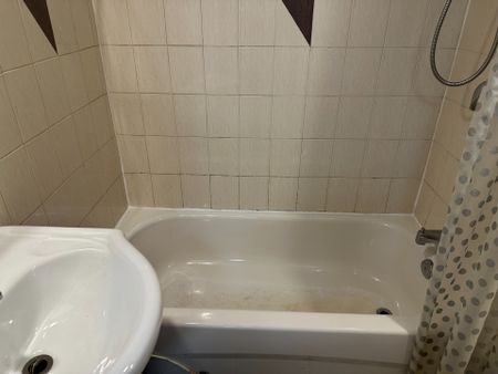 For Lease - 84 Carrera Boulevard Unit# Basement, Toronto, Ontario - Photo 4