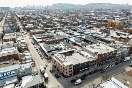 Condo for rent, Montréal (Rosemont/La Petite-Patrie) - Photo 4