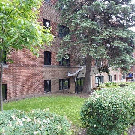 Bright & Spacious 3-bedroom apartment for rent in Cote-des-Neiges - Photo 3