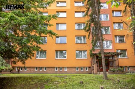 Pronájem bytu 2+1, 58 m - Fotografie 4