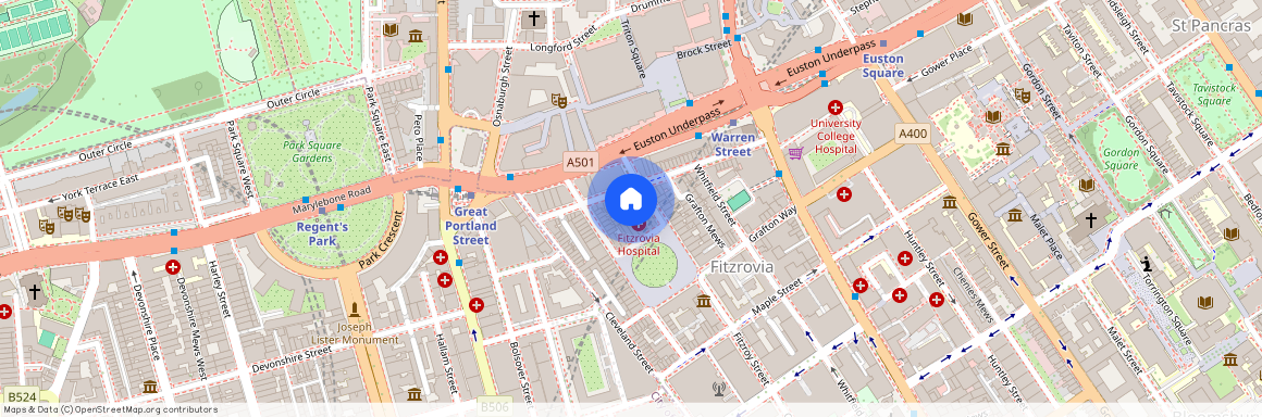 Fitzroy Square, Fitzrovia, W1T