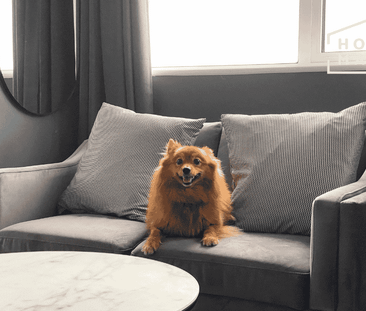 1 bedroom flat to rent - Photo 6