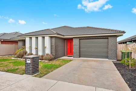 FOUR BEDROOM FAMILY HOME IN ALFREDTON - Photo 4